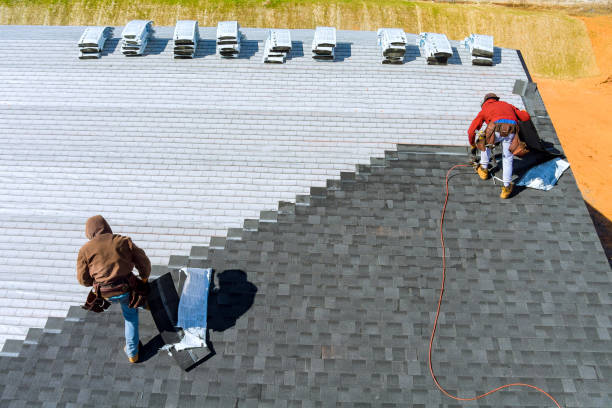 Best Roof Moss and Algae Removal  in Goodman, MS